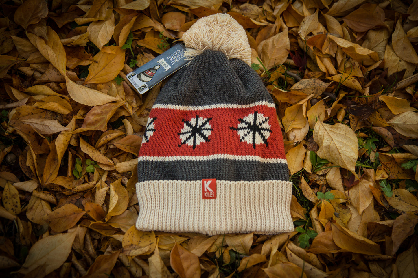 Winter Hat with Don't Starve Bonus Digital Item