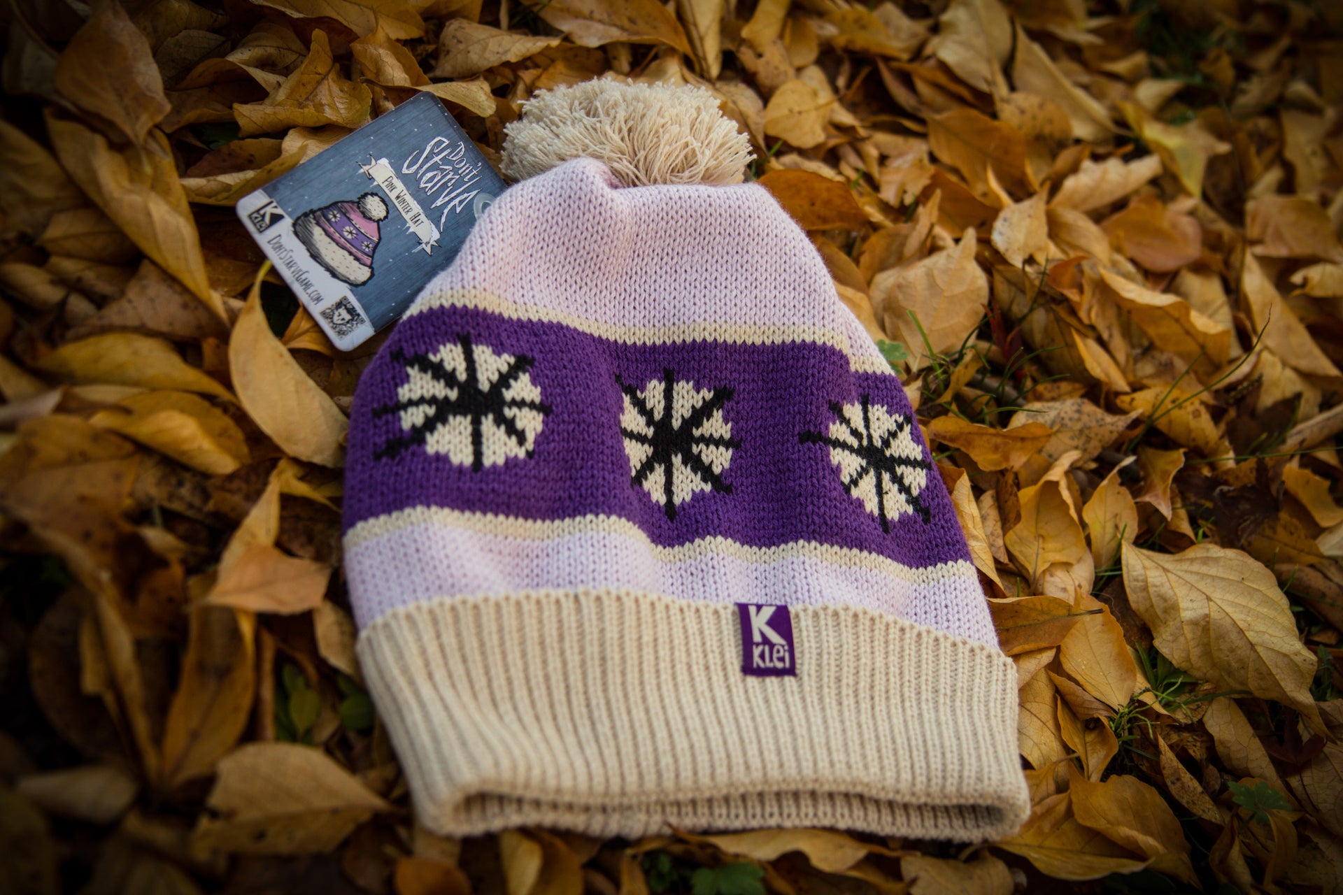 Pink Winter Hat in the Leaves